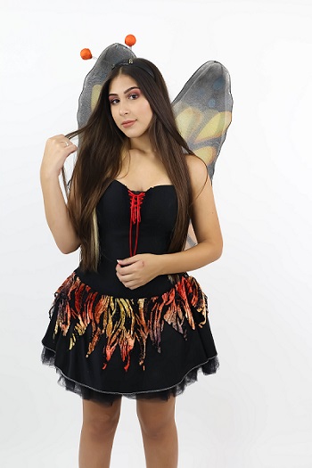 Borboleta Preta e Laranja